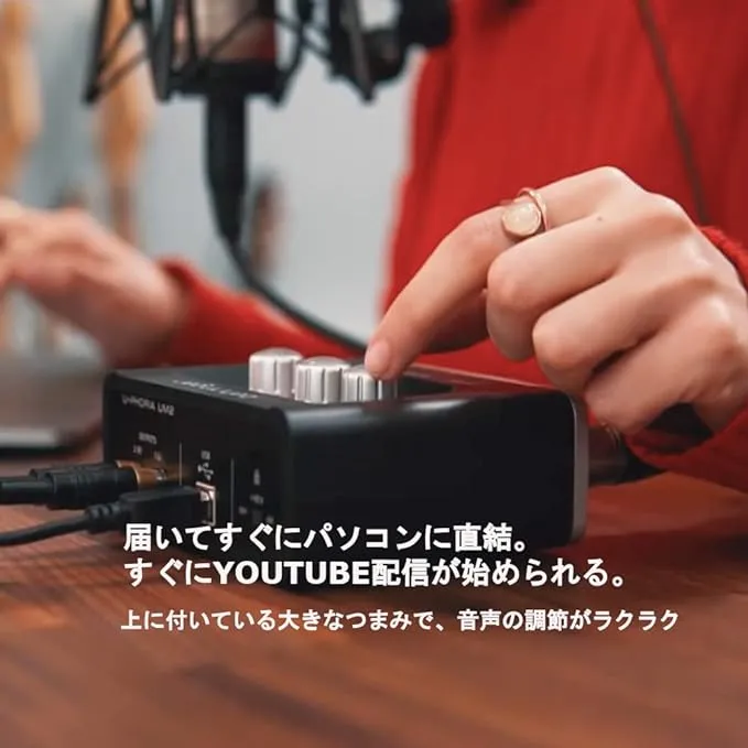Behringer U-Phoria UM2 USB Audio Interface