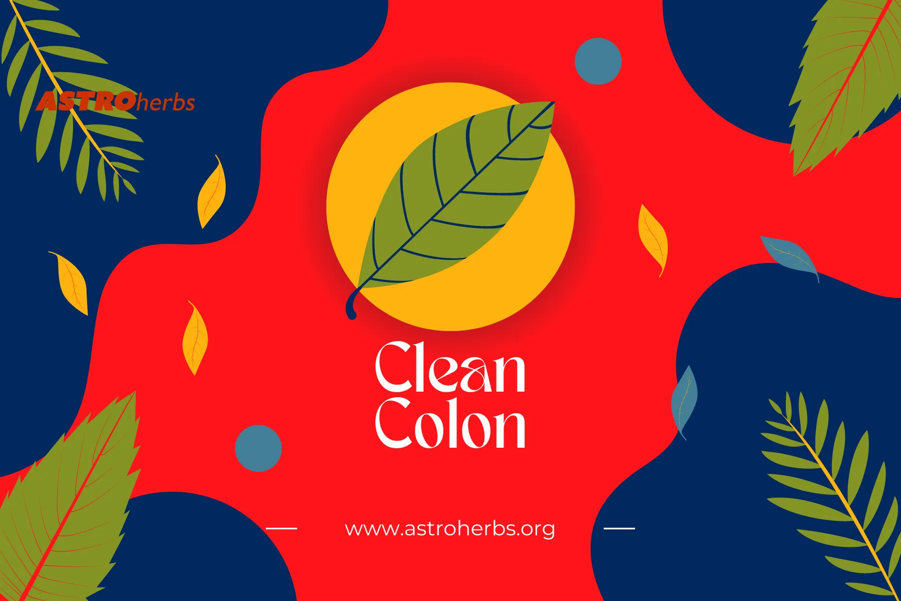 Clean Colon: Herbal Detox for Digestive Health (30 Veg Capsules)