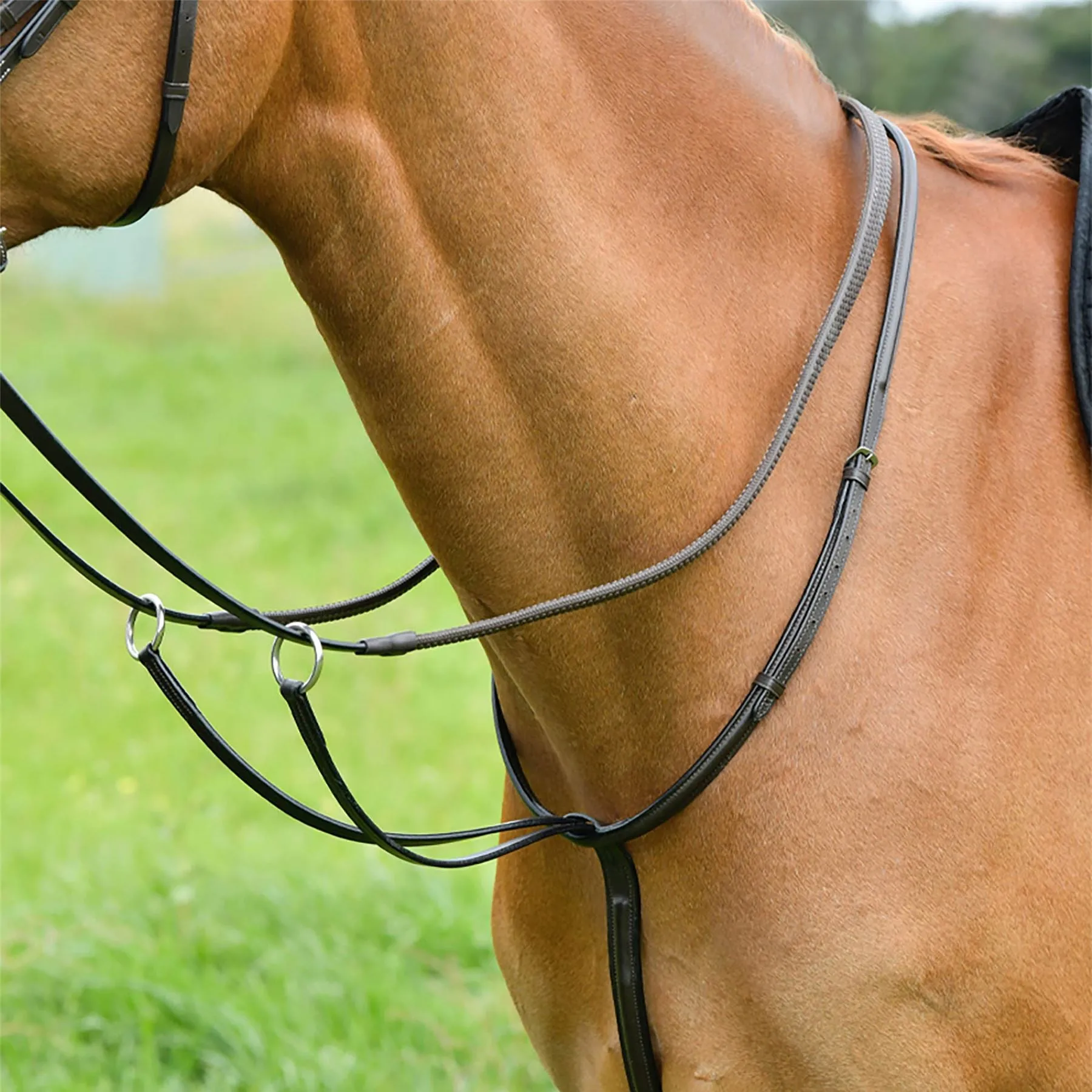 Kincade Classic Plain Raised Running Martingale