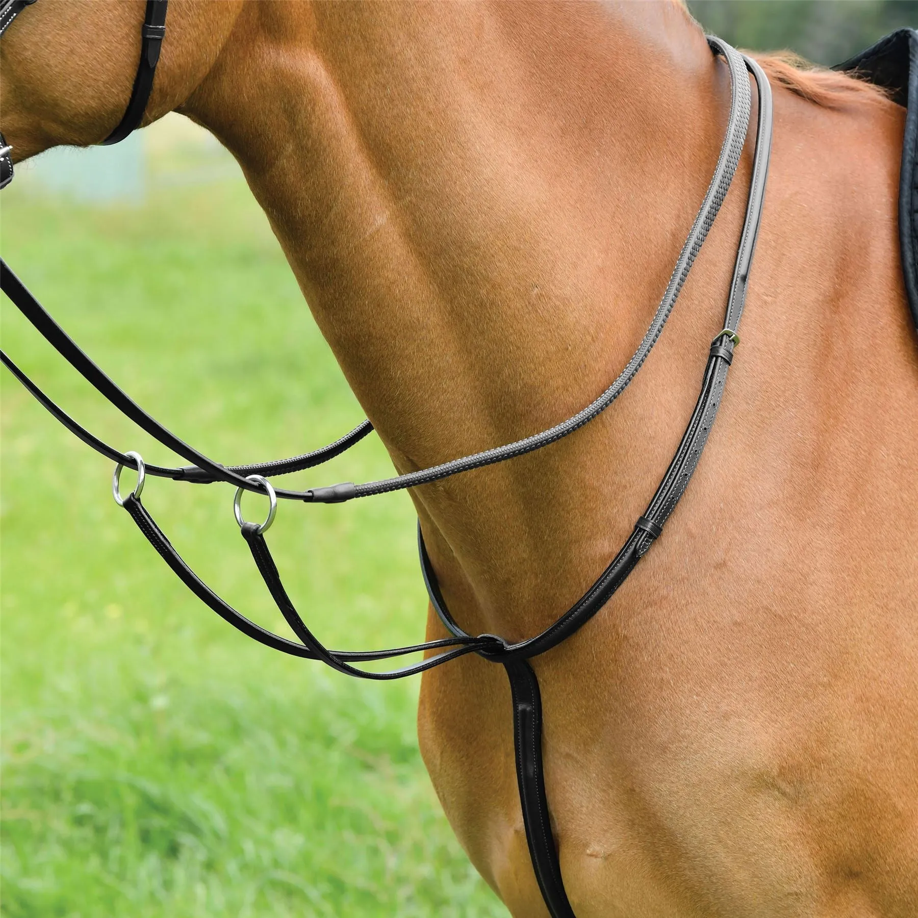 Kincade Classic Plain Raised Running Martingale