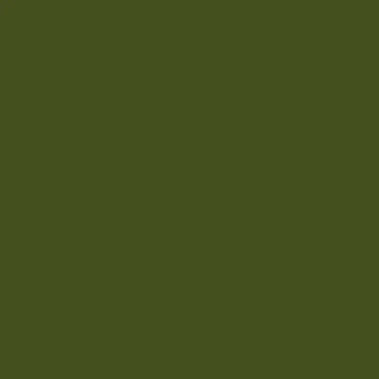 The Midi Double Door Locker Cabinet (Olive)