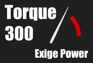 Torque300  Flash