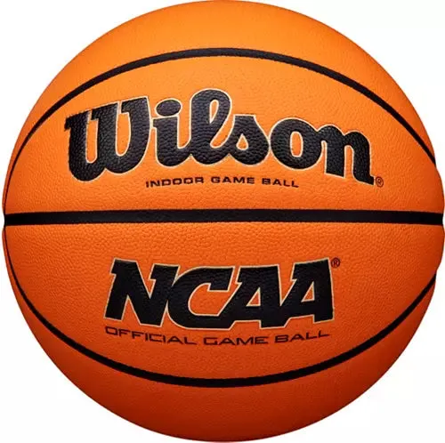 Wilson Evo NXT Basketball